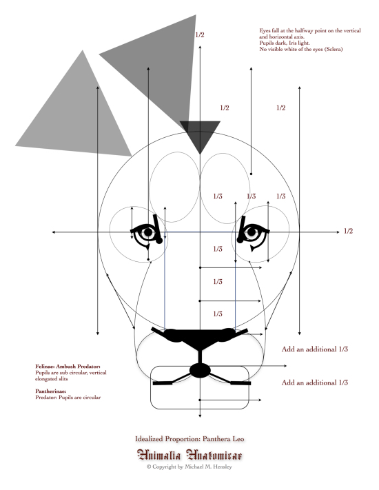 Idealized Proportion of the African Lion by Michael Hensley